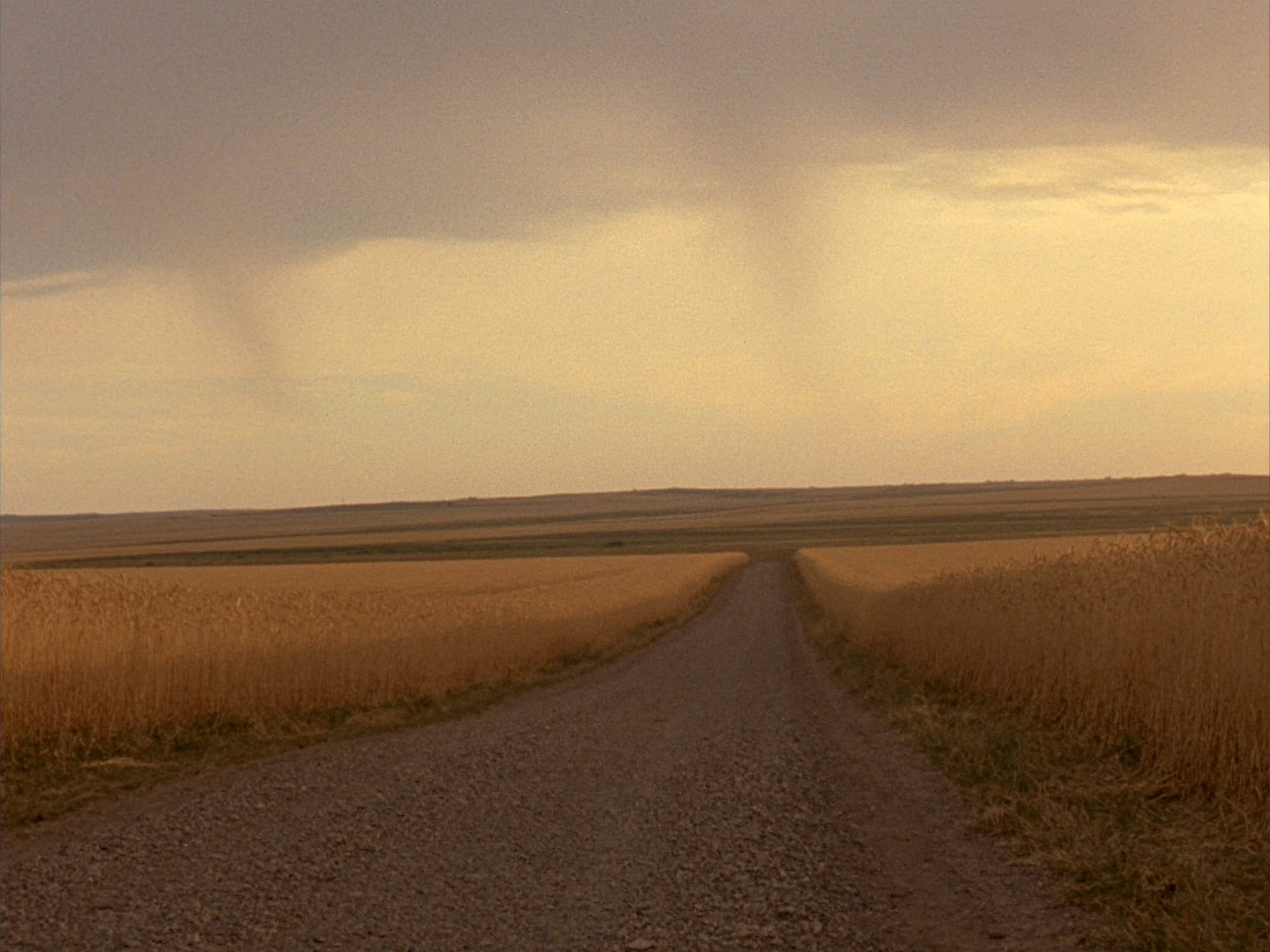 A gravel country road running between golden wheat fields toward a flat prairie horizon at dusk