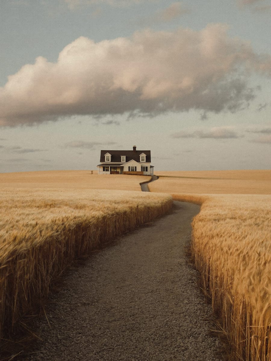 A gravel driveway winding through wheat fields to a country home